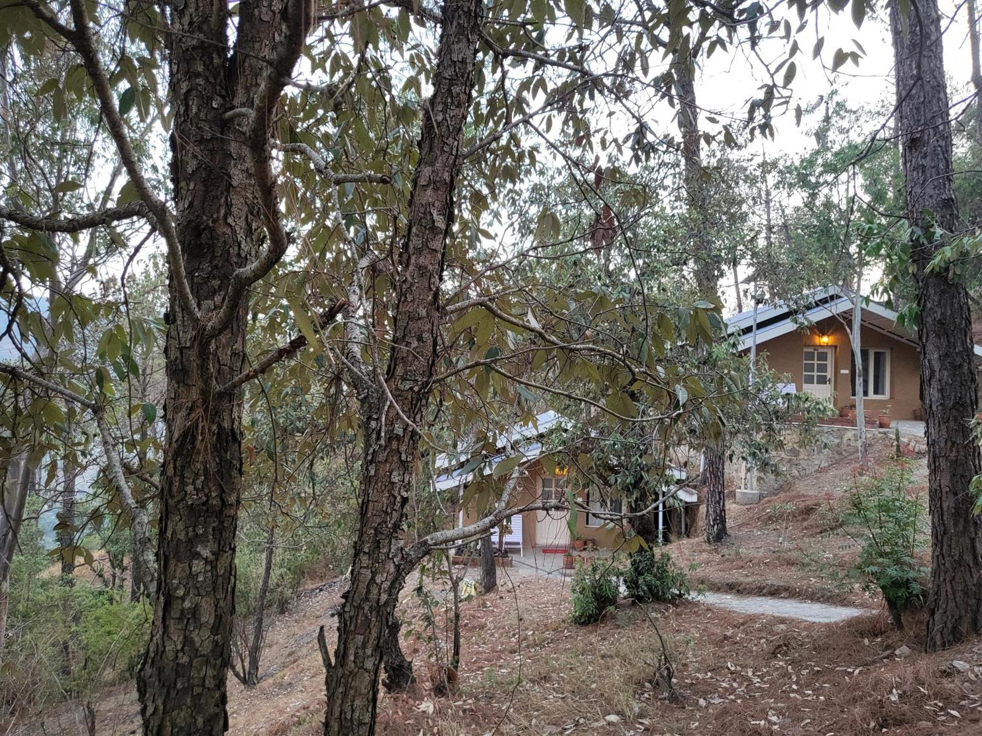 סולאן Rainbow Resorts חדר תמונה